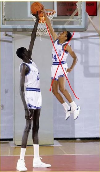 애초에 이집트와 관련이 있는 흑인 집단은_4.jpg