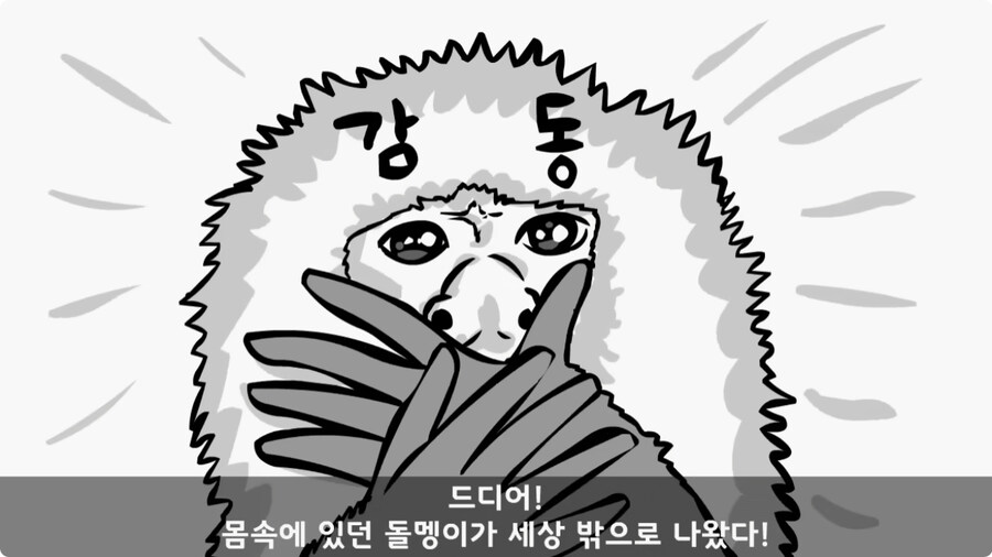돌맹이를 낳은 일병.jpg_71.jpg