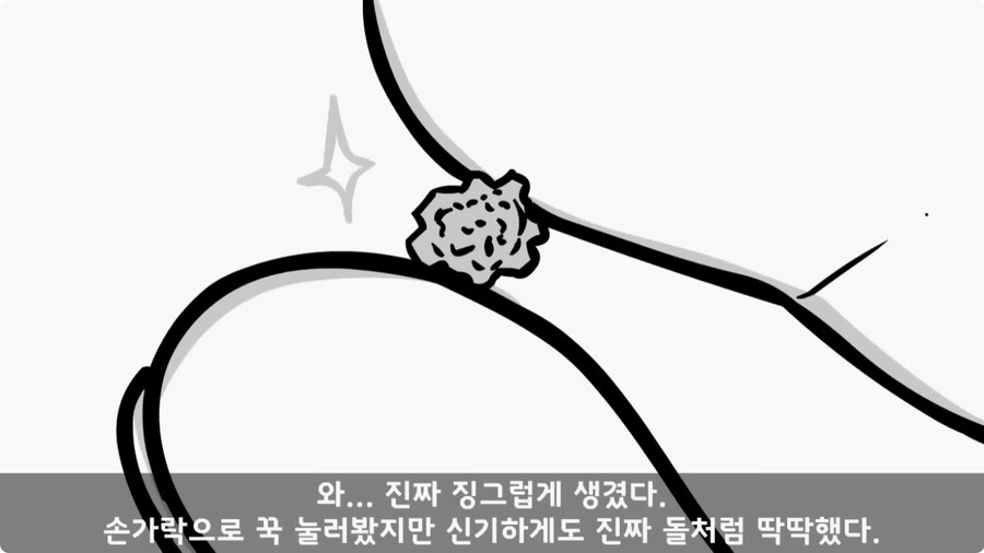 돌맹이를 낳은 일병.jpg_75.jpg