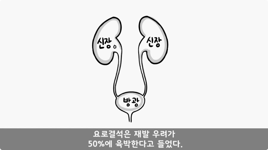 돌맹이를 낳은 일병.jpg_77.jpg