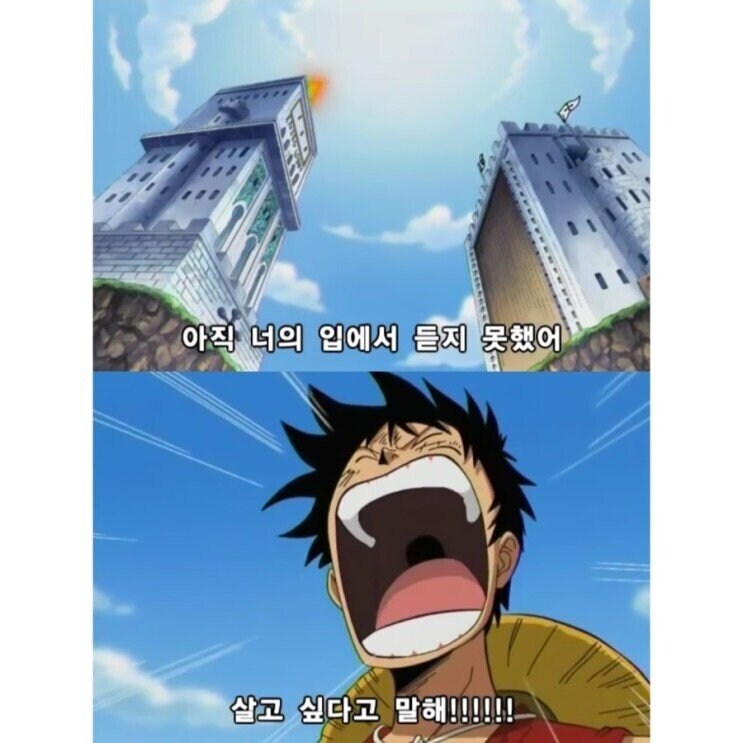 의외로 잘 모르는 원피스가 실화인 이유.jpg_1.jpg