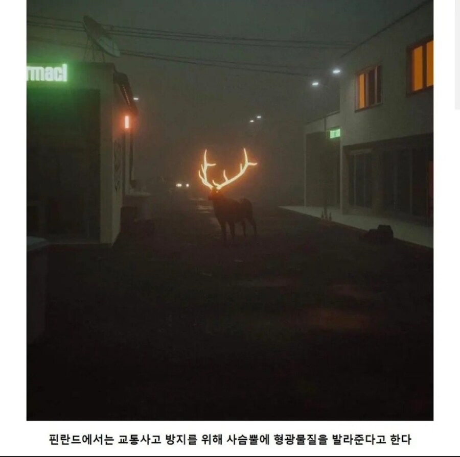 해리포터 실사?_1.jpg