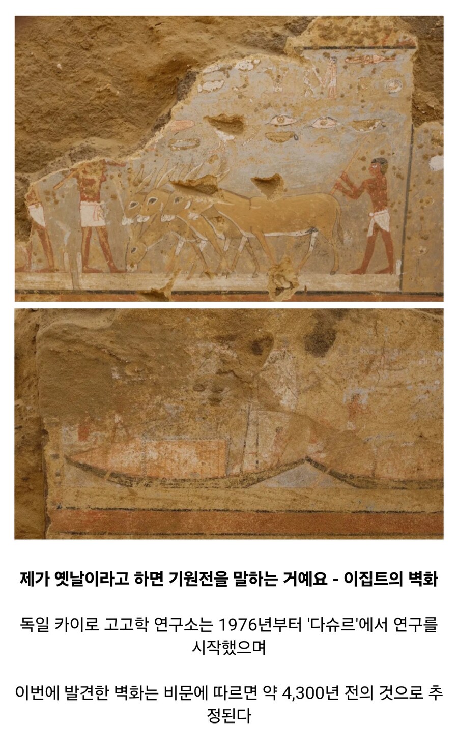 2024년에 발견된 역사적 물건들_6.jpg