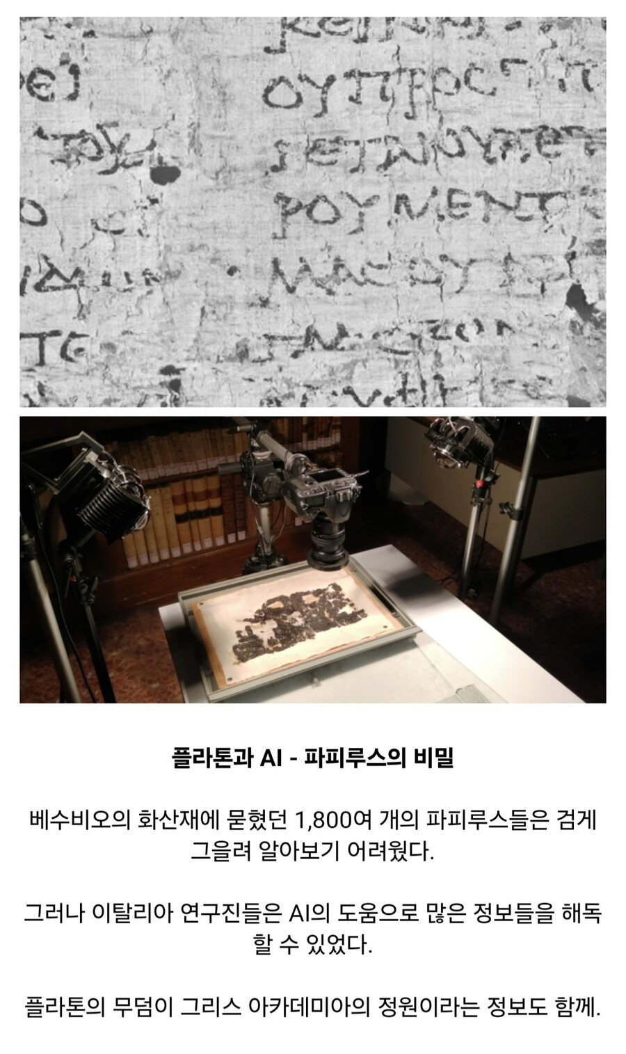 2024년에 발견된 역사적 물건들_7.jpg