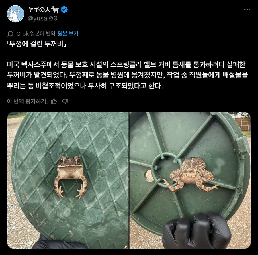 Miss 콩쥐, 우리는 penis 되다_1.png
