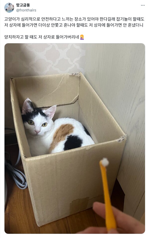 고양이 전용 숨숨집을 만들어준 결과.jpg_1.png