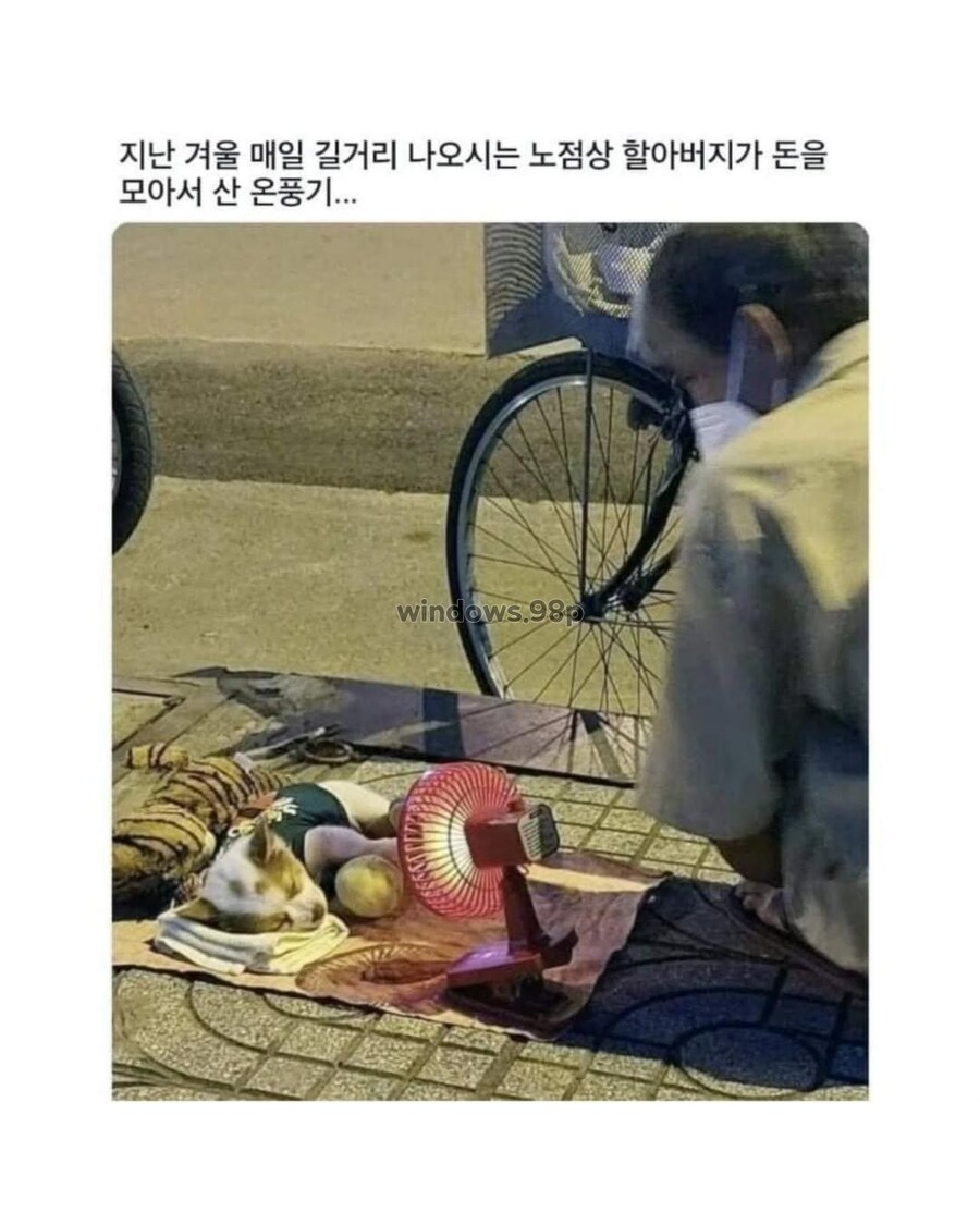 지난 겨울 노점상 할아버지가 돈을 모아 산 온풍기...._1.jpg