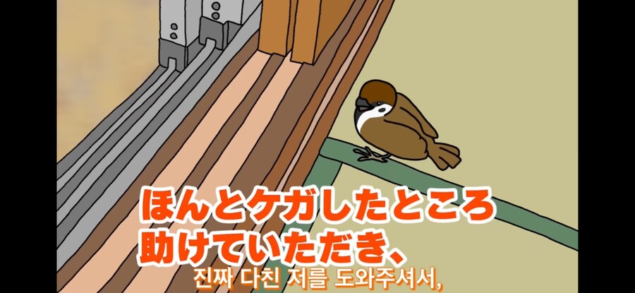 약스압) 참새 : 다친 저를 도와주셔서 감사합니다!_1.jpg