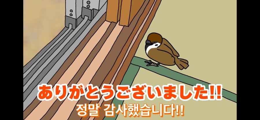 약스압) 참새 : 다친 저를 도와주셔서 감사합니다!_2.jpg
