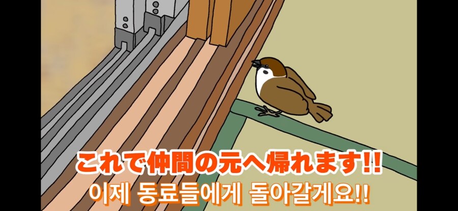 약스압) 참새 : 다친 저를 도와주셔서 감사합니다!_3.jpg