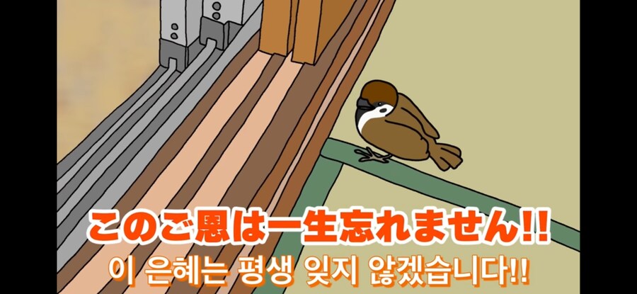 약스압) 참새 : 다친 저를 도와주셔서 감사합니다!_4.jpg