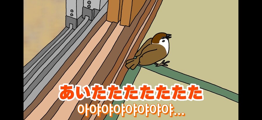 약스압) 참새 : 다친 저를 도와주셔서 감사합니다!_10.jpg