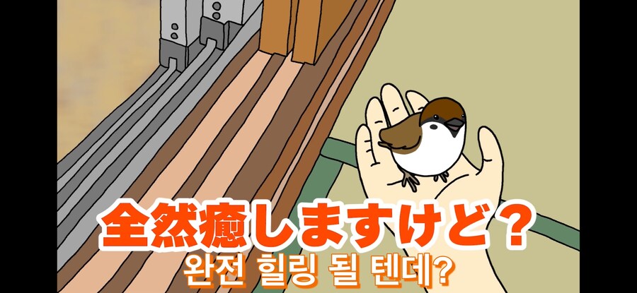 약스압) 참새 : 다친 저를 도와주셔서 감사합니다!_20.jpg