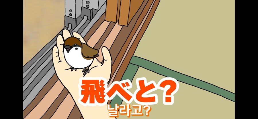 약스압) 참새 : 다친 저를 도와주셔서 감사합니다!_25.jpg