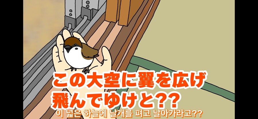 약스압) 참새 : 다친 저를 도와주셔서 감사합니다!_26.jpg