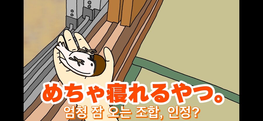 약스압) 참새 : 다친 저를 도와주셔서 감사합니다!_32.jpg
