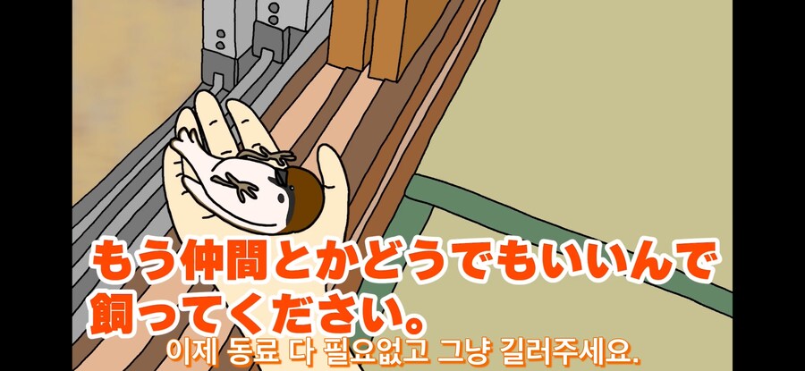 약스압) 참새 : 다친 저를 도와주셔서 감사합니다!_35.jpg