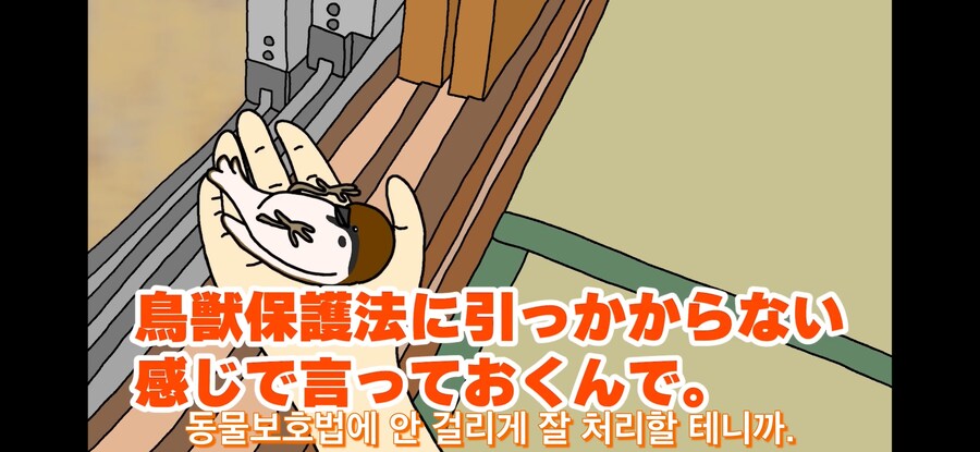 약스압) 참새 : 다친 저를 도와주셔서 감사합니다!_37.jpg