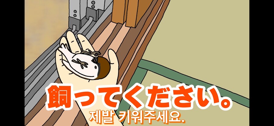 약스압) 참새 : 다친 저를 도와주셔서 감사합니다!_38.jpg