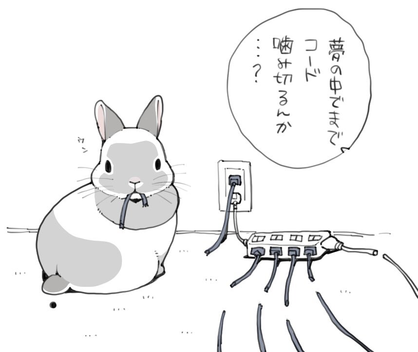토끼가 당근따위보다 좋아하는거_4.jpg