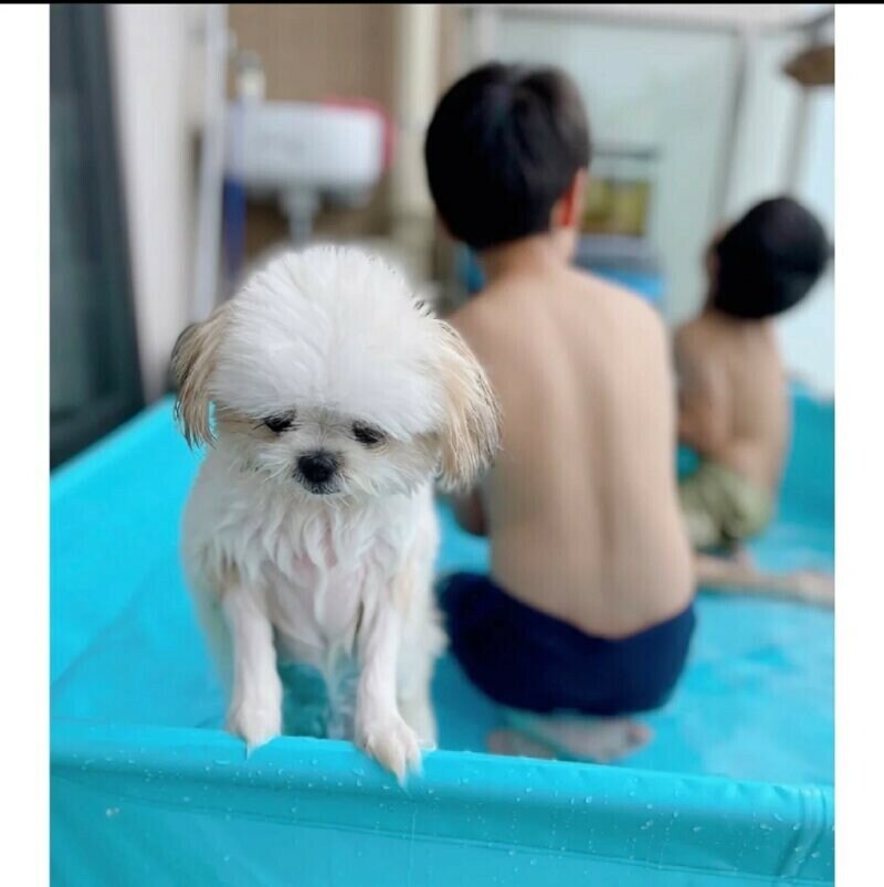 인간이 지구를 지배한 힘_1.jpg