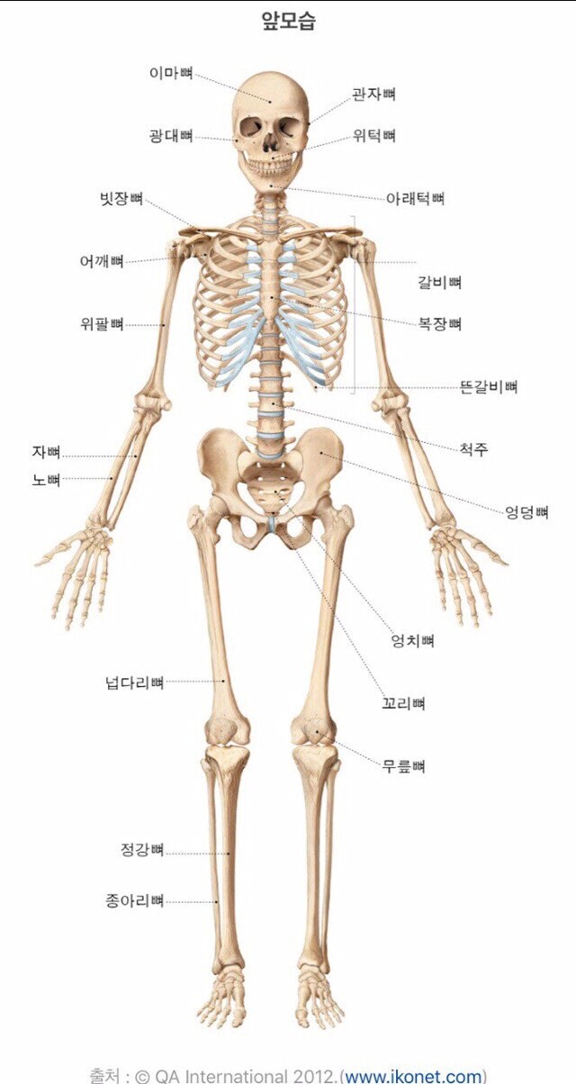 뼈나 인대 다쳐본 사람이 공감하는 점.jpg_1.jpg