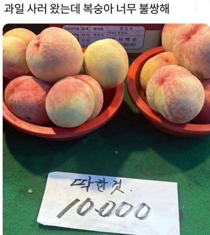 불쌍한 복숭아 ㅠㅠㅠㅠㅠㅠㅠ_1.jpg