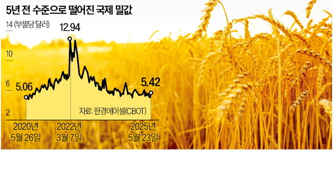 밀가루 5년 내 최저가 회복_1.jpg