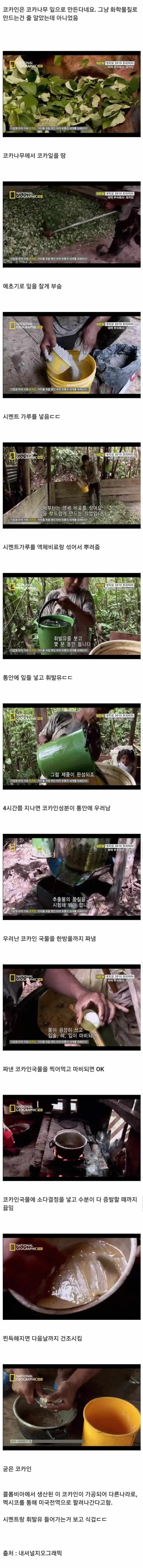 적나라한 코카인 제조 과정_1.webp