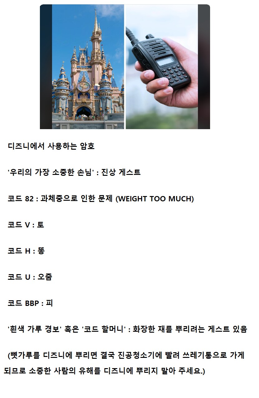 디즈니에서 사용하는 암호_1.png