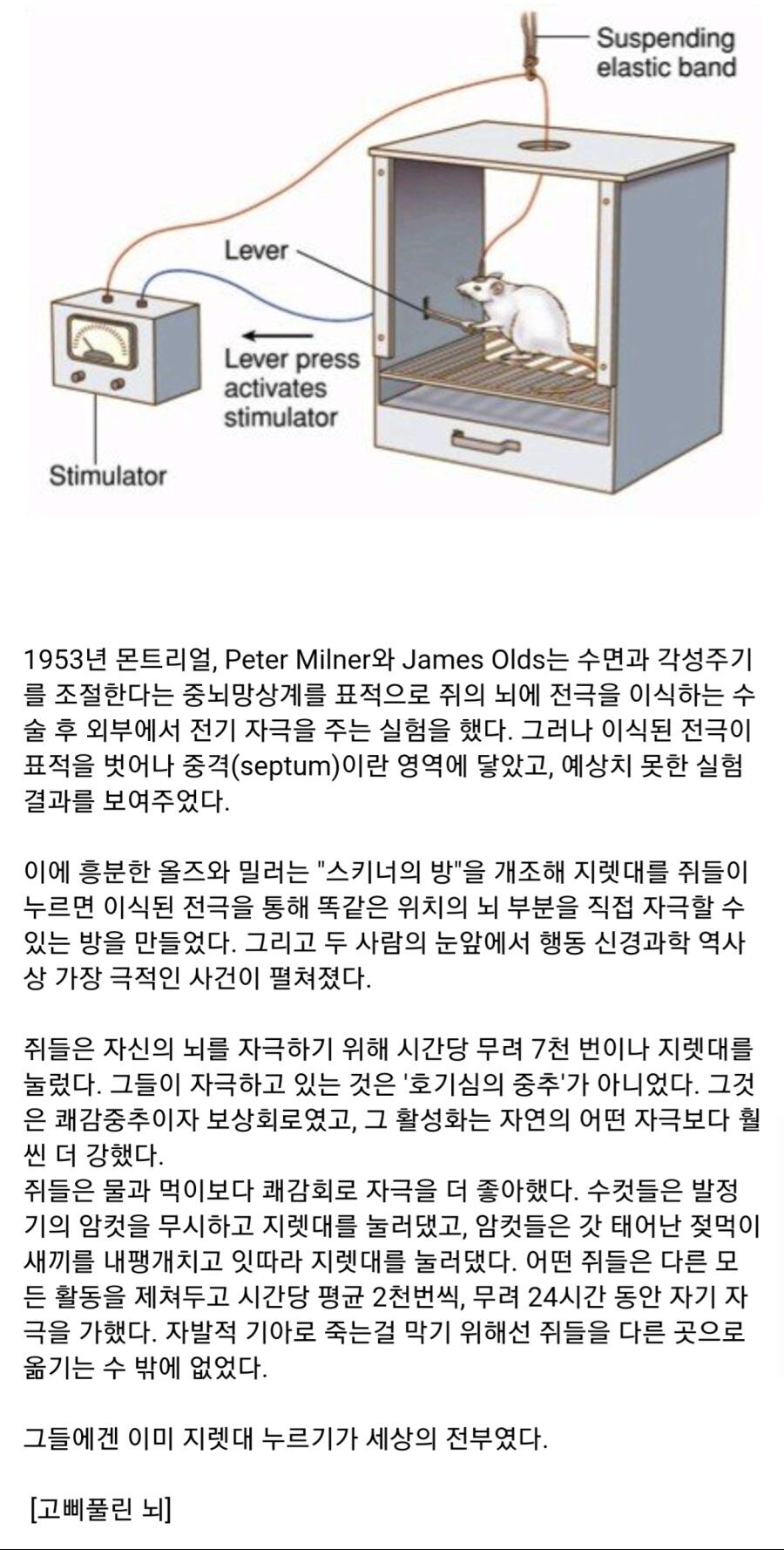 누를때마다 암컷절정하는 버튼을 달아주자 생긴일.jpg_1.jpg