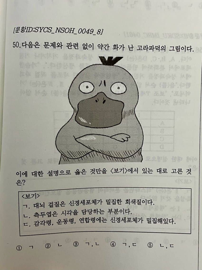 시험에 나온 고라파덕.jpg_1.jpg