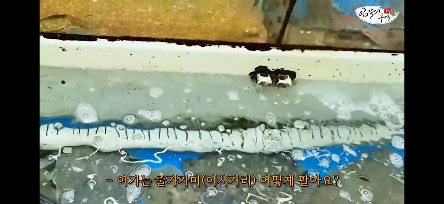 가자미 사러 수산시장에 간 유튜버가 당할뻔한 꼼수.jpg_1.jpg