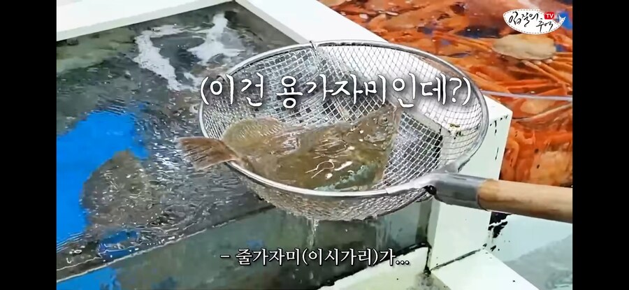 가자미 사러 수산시장에 간 유튜버가 당할뻔한 꼼수.jpg_2.jpg