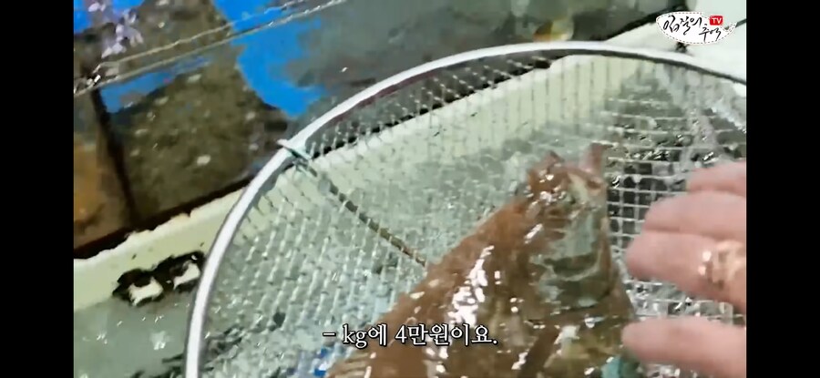 가자미 사러 수산시장에 간 유튜버가 당할뻔한 꼼수.jpg_3.jpg