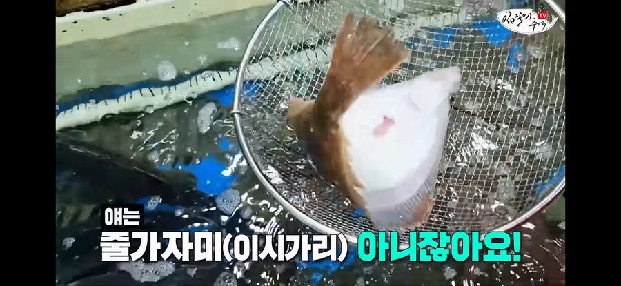 가자미 사러 수산시장에 간 유튜버가 당할뻔한 꼼수.jpg_4.jpg