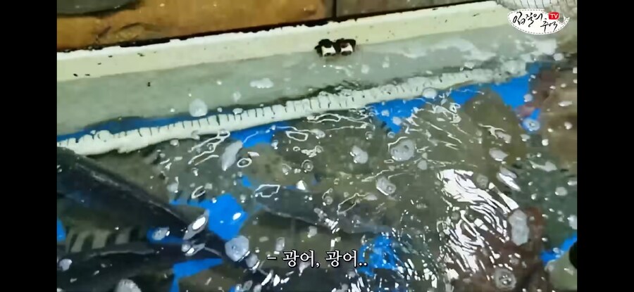 가자미 사러 수산시장에 간 유튜버가 당할뻔한 꼼수.jpg_5.jpg