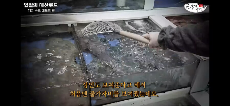가자미 사러 수산시장에 간 유튜버가 당할뻔한 꼼수.jpg_8.jpg