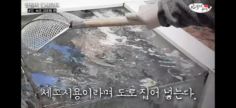 가자미 사러 수산시장에 간 유튜버가 당할뻔한 꼼수.jpg_10.jpg