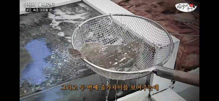 가자미 사러 수산시장에 간 유튜버가 당할뻔한 꼼수.jpg_11.jpg