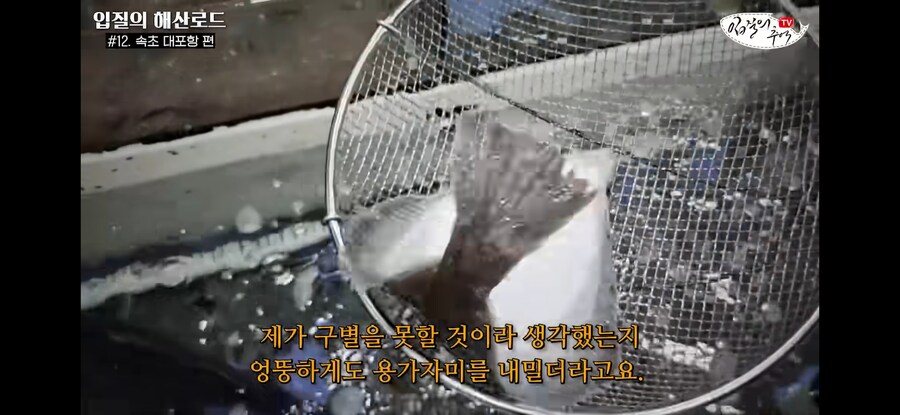 가자미 사러 수산시장에 간 유튜버가 당할뻔한 꼼수.jpg_12.jpg