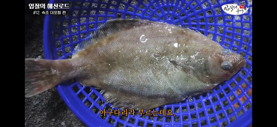 가자미 사러 수산시장에 간 유튜버가 당할뻔한 꼼수.jpg_14.jpg