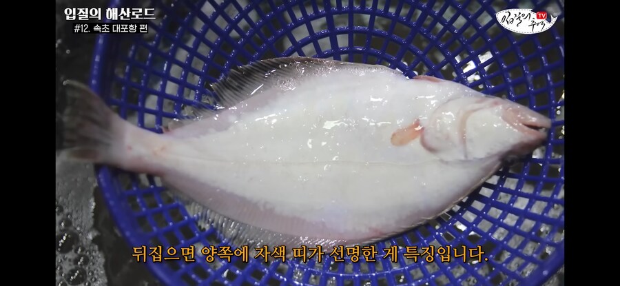 가자미 사러 수산시장에 간 유튜버가 당할뻔한 꼼수.jpg_15.jpg
