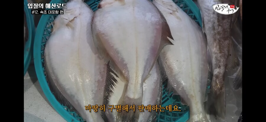 가자미 사러 수산시장에 간 유튜버가 당할뻔한 꼼수.jpg_17.jpg