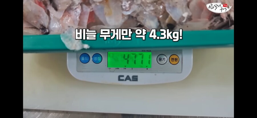 120kg 짜리 500만원 돗돔의 위용.jpg_3.jpg
