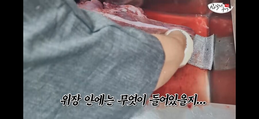 120kg 짜리 500만원 돗돔의 위용.jpg_4.jpg