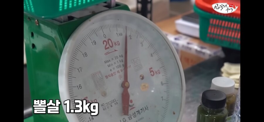 120kg 짜리 500만원 돗돔의 위용.jpg_10.jpg