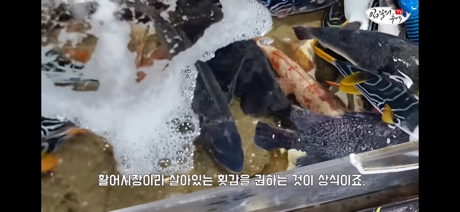 활어 수산시장에서 참복 사려고 갔다가 생긴 일.jpg_2.jpg