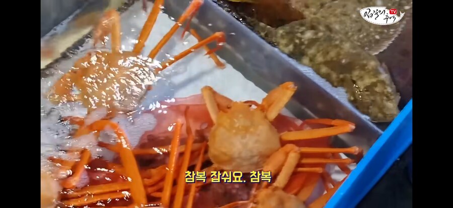 활어 수산시장에서 참복 사려고 갔다가 생긴 일.jpg_5.jpg