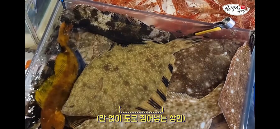 활어 수산시장에서 참복 사려고 갔다가 생긴 일.jpg_10.jpg